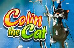 Играть в Colin the Cat