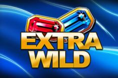 Играть в Extra Wild