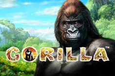 Играть в Gorilla