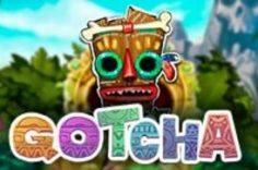 Играть в Gotcha!