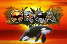 Играть в Orca