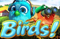 Играть в Slot Birds