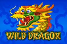 Играть в Wild Dragon